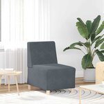 vidaXL Unité de Sofa Modulaire Sans Accoudoirs 2 Pièces Gris foncé