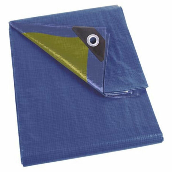 Perel Bâche  résistant  22 œillets  angles renforcés  rectangulaire  bleu/vert  110 g/m²  5 x 6 m