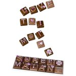 LANSAY Mini-Délices Mon Atelier Choco-Messages