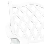 vidaXL Chaise de jardin 2 Pièces Blanc 55 x 56 5 x 91cm Aluminium