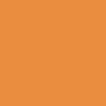 Paquet de 100 chemises 'JURA 250' en carte 240 grammes orange EXACOMPTA