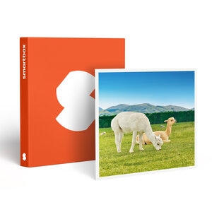 SMARTBOX - Coffret Cadeau Découverte des animaux -  Multi-thèmes
