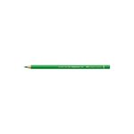 Crayon de couleur Polychromos vert feuille x 6 FABER-CASTELL