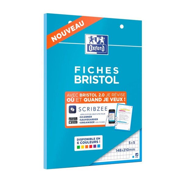 Bloc de 30 Fiches Bristol Perforées A5 Q5/5 Bordures bleues OXFORD
