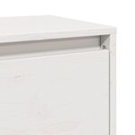 vidaXL Armoires murales 2 Pièces Blanc 80x30x35 cm Bois de pin massif