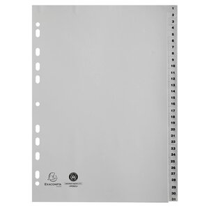 Intercalaires Imprimés Numériques Pp Recyclé Gris - 31 Positions - A4 - Gris - Exacompta