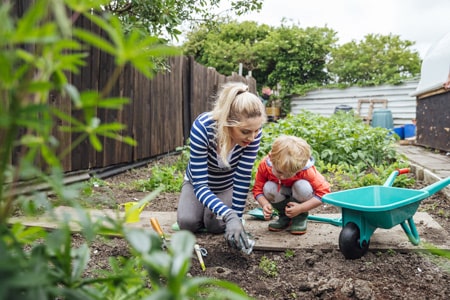 Comment entretenir un jardin ?