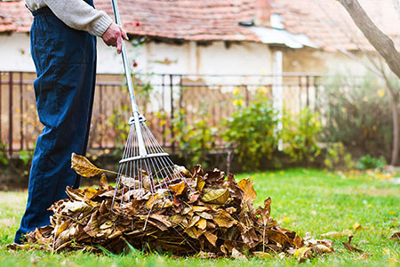 Entretien du jardin : ramassage des feuilles mortes