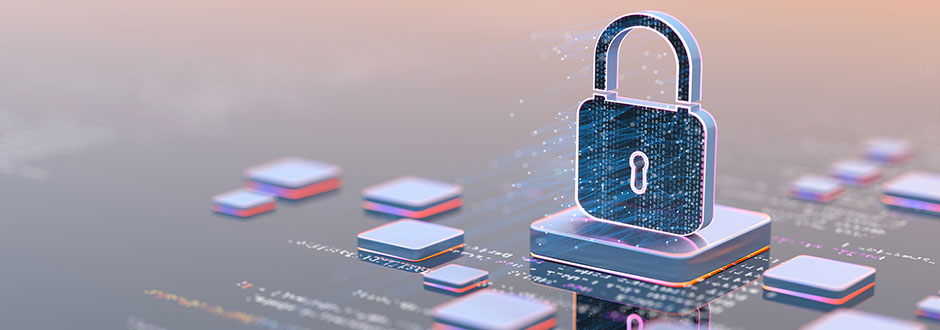 sécurité de sa connexion internet pro