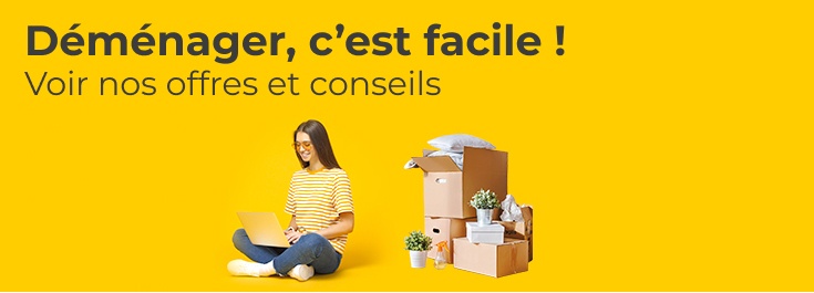 m_animco3_reex_hub_demenagement_dame_carton_part_22052023.jpg