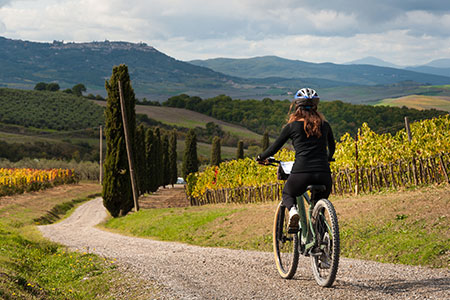 vtt électrique