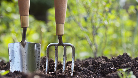 10 idées pour un jardin parfait