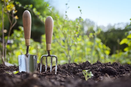 10 idées pour un jardin parfait : le guide de A à Z