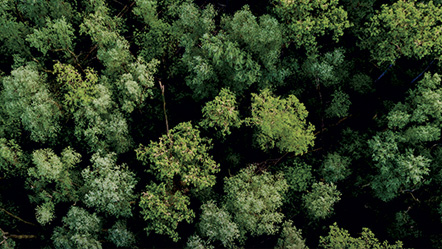 Colissimo, une livraison à faible impact environnemental