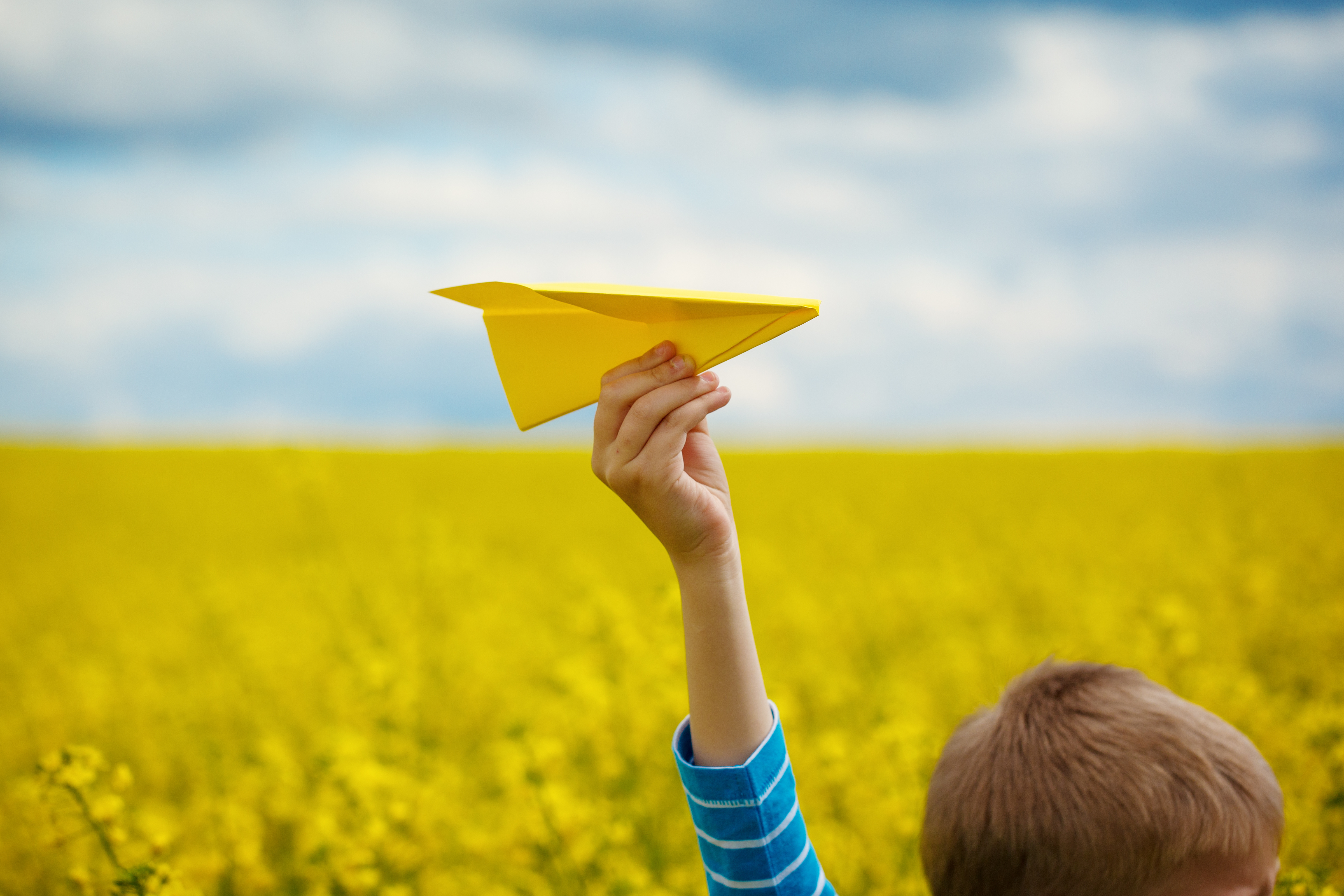 Visuel d'illustration enfant avec oiseau postal papier jaune champ de colza La Poste