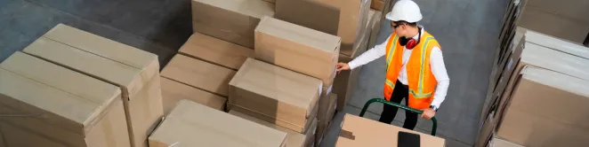 Lpsb logistique fullfilment