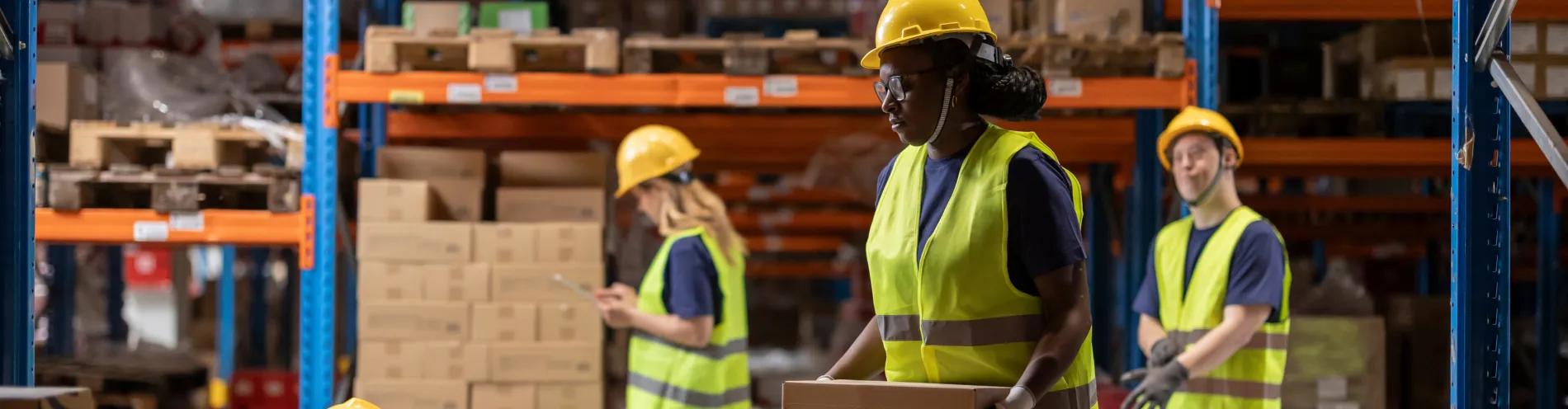 Logistique lpsb