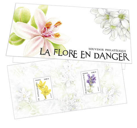 Souvenir - La Flore en Danger