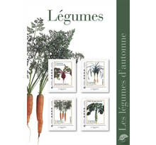 Collector 4 timbres - Les légumes d'automne - Lettre Verte