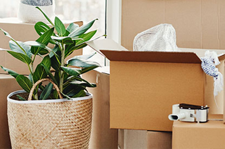 Comment choisir ses cartons et son matériel pour déménager facilement ?