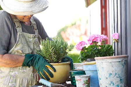 photo d'une jardinière qui prend soin de ses plantes