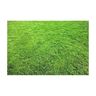 Terreau création et entretien pelouse avec mycorhizes 40 litres unitaire