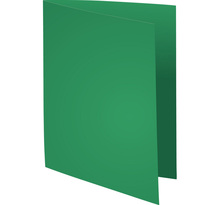 Paquet de 100 sous chemises 80g FLASH format A4 100% RECYCLE vert EXACOMPTA