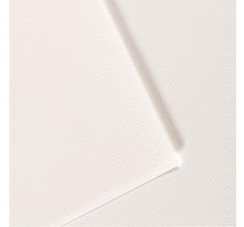 Paquet de 10 feuilles Mi-Teintes CANSON 50 x 65 cm 160 g coloris blanc