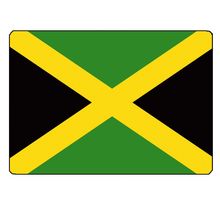 Surface de découpe Jamaïque en verre 28.5 x 20 cm