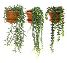 Plantes artificielles en pot terracotta (lot de 3)
