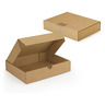Boîte extra-plate d’expédition carton brune 21,5x15,5x5 cm (colis de 50)