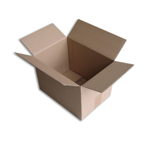 Lot de 5 boîtes carton (n°37) format 305x215x220 mm