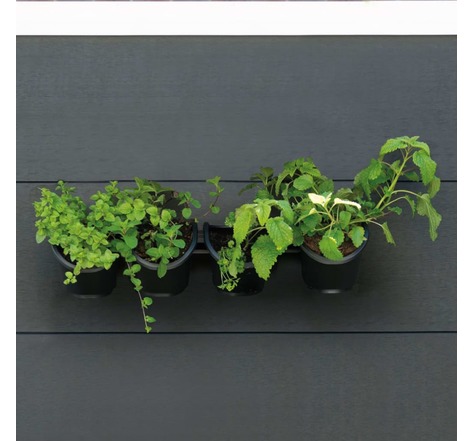 Nature Kit de fleurs et d'herbes/jardin vertical