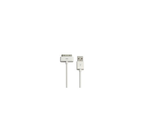 Câble USB iPhone 4/4S, 3/3Gs, iPad 1/2, iPod - Apple