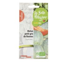 Graines à semer - Melon Petit gris de Rennes - 1 2 g