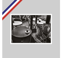 Carte peter turnley - café, paris, france, 2016.