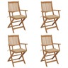 Vidaxl chaises pliables de jardin 4 pcs avec coussins bois d'acacia
