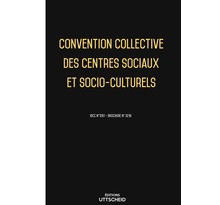 22/11/2021 dernière mise à jour. convention collective des centres sociaux et socio-culturels