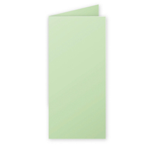Paquet de 25 cartes pliées 210g 106x213 vert clairefontaine