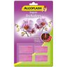 ALGOFLASH Engrais Orchidées - 20 bâtonnets