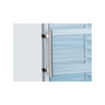 Armoire réfrigérée positive inox 600 l - porte vitrée - cool head - r600a - abs1775vitrée x1900mm