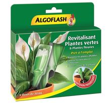Monodose Revitalisante Plantes Vertes & Plantes Fleuries 30 mL - 5 doses