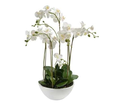 Emerald phalaenopsis artificiel blanc 80 cm 20.335c