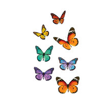 Adhésifs de vitres papillons