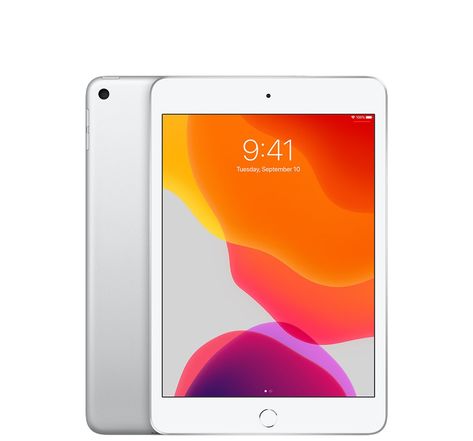 iPad mini 5 (2019) - 64 Go - Argent - Très bon état