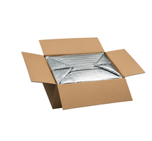 Caisse carton isotherme 23 x 23.5 x 15 cm - Lot de 5