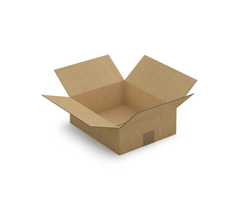 Caisse carton plate brune simple cannelure RAJA 30x25x10 cm (colis de 25)