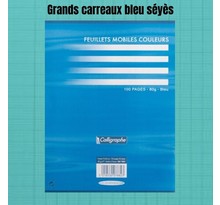 Feuillets Mobiles Bleu Perforées 17X22 Grands Carreaux Seyes 80G Clairefontaine