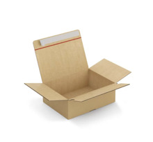 Caisse carton brune simple cannelure montage instantané fermeture adhésive RAJA 31x23x11 cm (colis de 20)