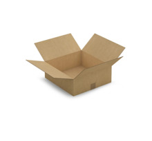Caisse carton brune simple cannelure RAJA 38,5x37x14 cm (colis de 20)